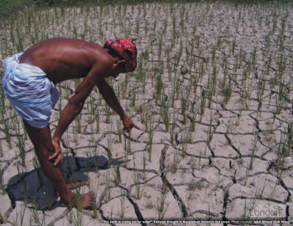 Drought in Bangladesh destroys rice crops