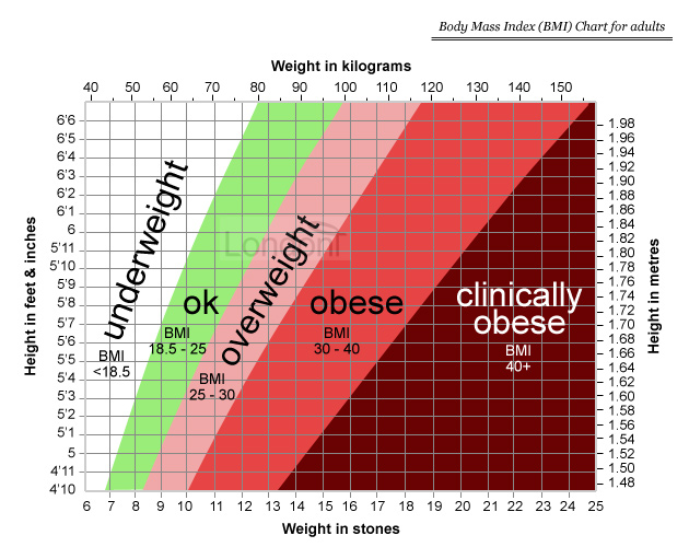 body mass index calculator in kg